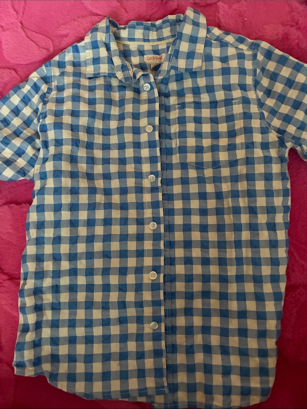 Cat & Jack Blue and White Gingham Button-Down Shirt